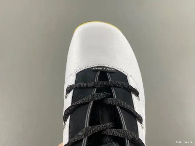 Kick Theory FJ0395-100 Jordan 17 Lightning Low Air 0505